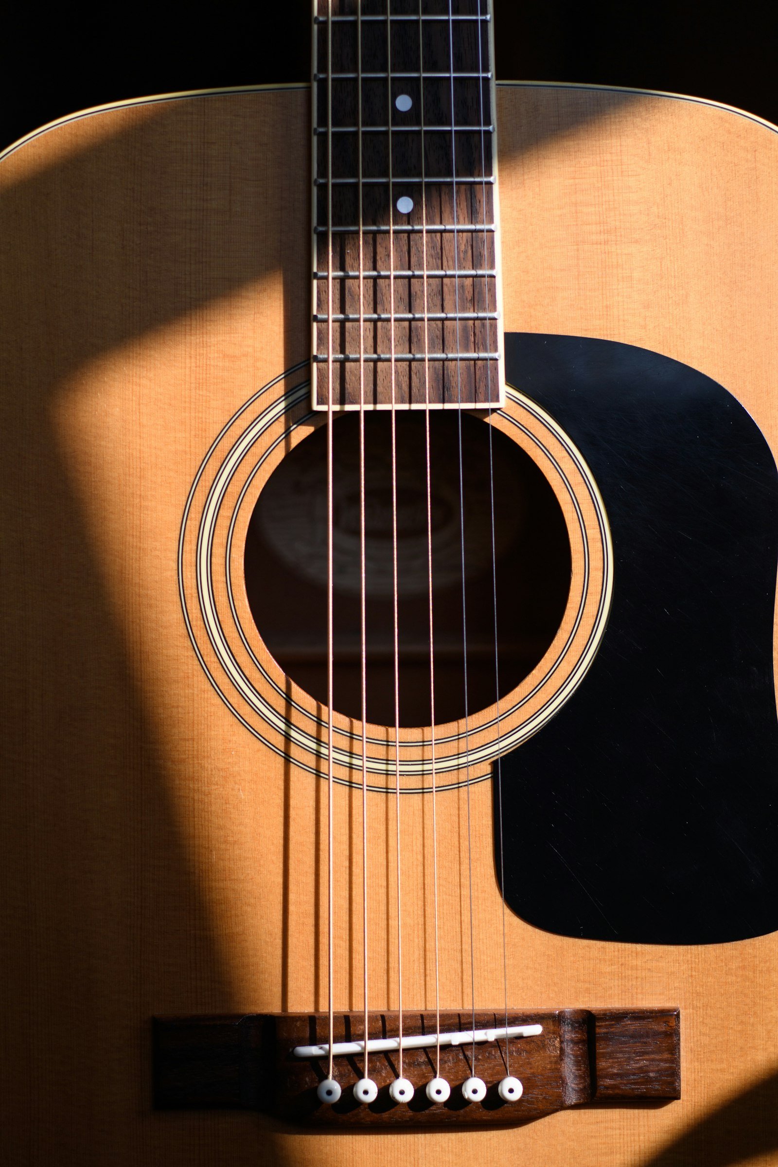 Close-up of an acoustic guitar fretboard